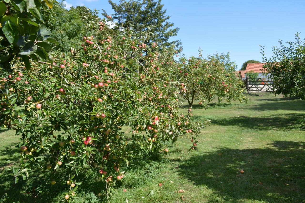 Orchard Lodge & Wolds Restaurant Скарборо Экстерьер фото